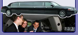 Orlando Minibus Transportation
